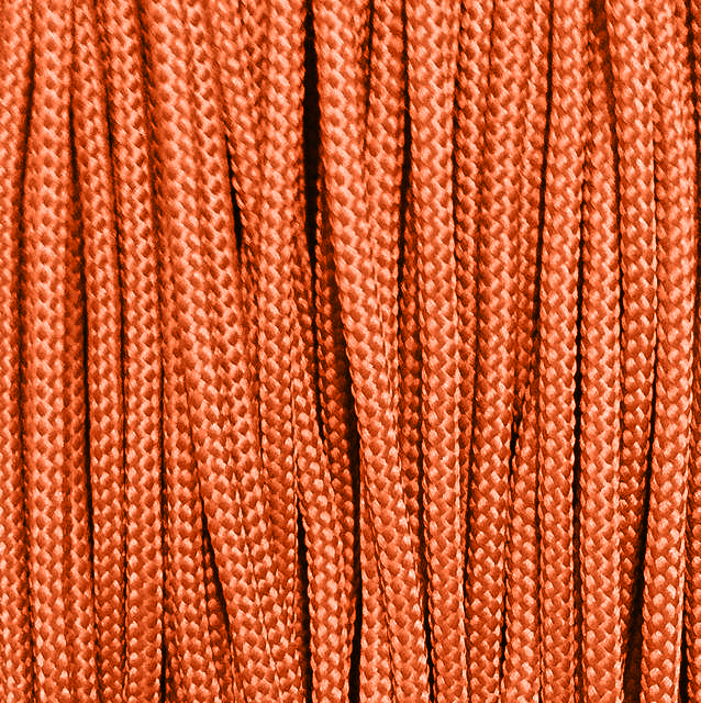Шнур для одягу круглий 5мм кол S-234 помаранчевий світлий (уп 100м) 5-18 320258 фото